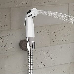 Kohler - 12925IN-CP Complementary Basic Health Faucet, with Metal Hose and Holder (White)