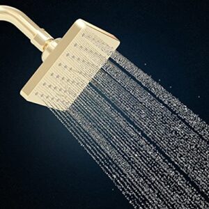 Kohler 22645IN-AF ABS Showerhead with Shower Arm, Vibrant French Finish (Gold)