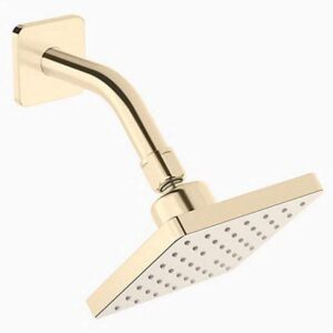 ABS Showerhead