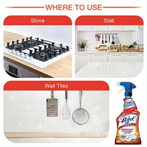 Lizol Kitchen Cleaner Spray - 450 ml | Suitable for all Kitchen Surfaces, Gas Stove, Countertop, Tiles, Chimney and Sink | Kills 99.9% germs