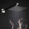 Head Range Shower